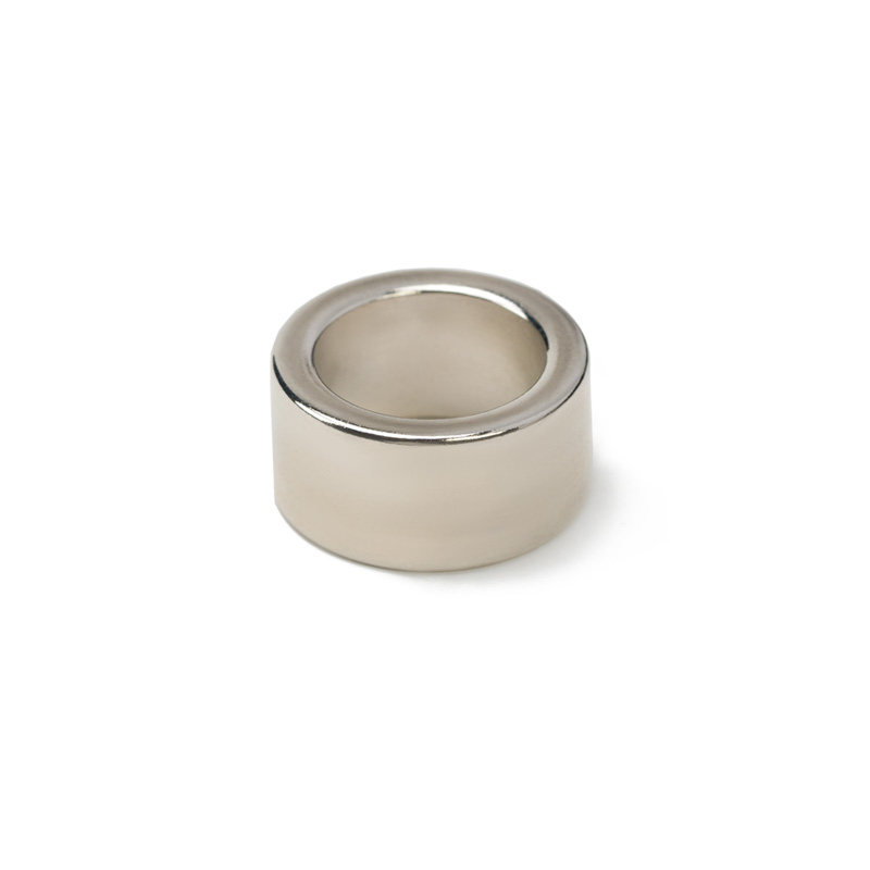 NdFeB Ring Magnet